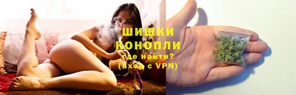 ПСИЛОЦИБИНОВЫЕ ГРИБЫ Алзамай