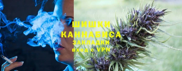 ПСИЛОЦИБИНОВЫЕ ГРИБЫ Алзамай
